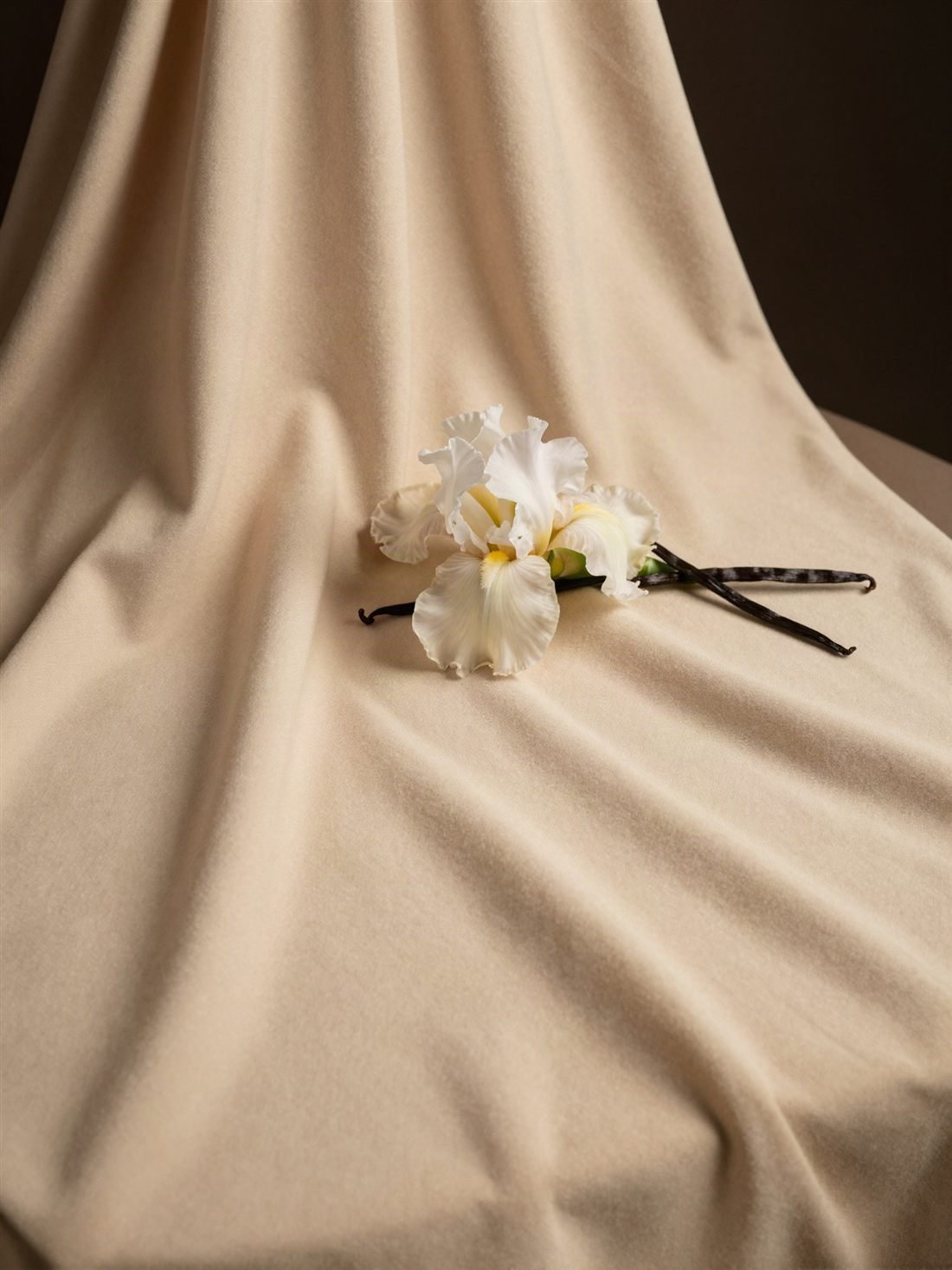 Iris flower and vanilla pods on cashmere